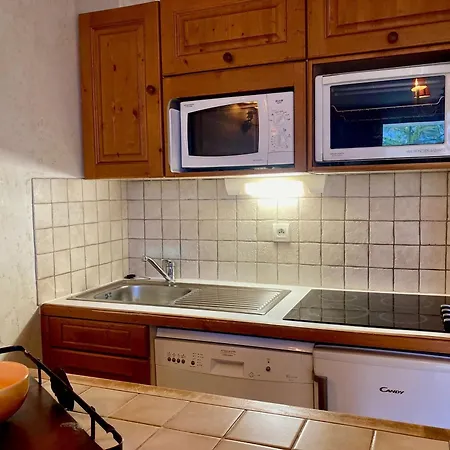 Apartment Cosy Au Pied Des Pistes Avec Balcon Et Animaux Admis - Fr-1-811-19 Les Deux Alpes
